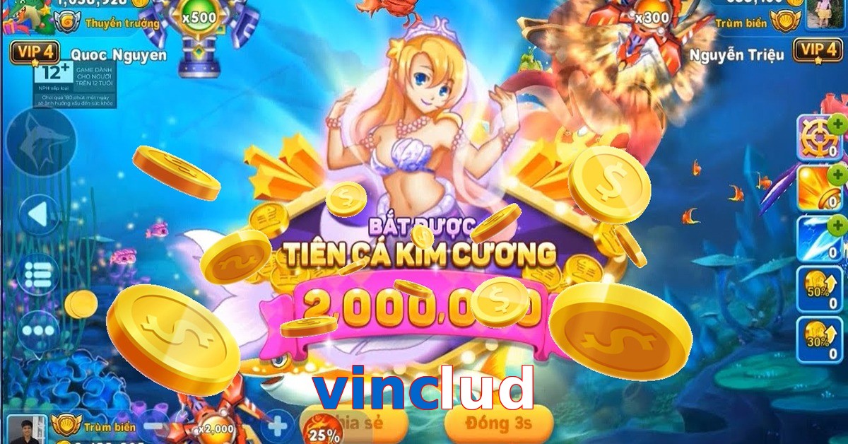 vinclud